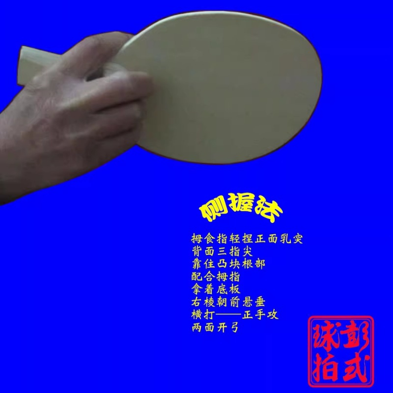 Chinese/Japanese Style Table T - Table Tennis In Chinese recension och pris