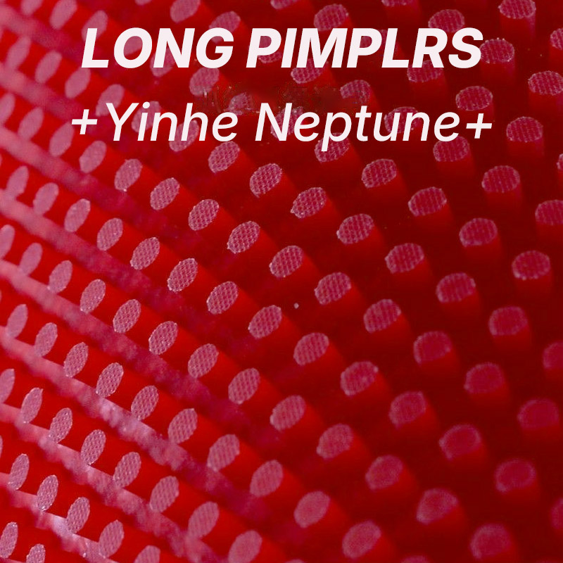 YINHE NEPTUNE Long Pimples Tab - Table Tennis Defense recension och pris